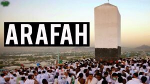 Read more about the article Amalan-Amalan di Hari Arafah